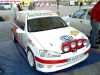 -106-rally-16-grn-.jpg