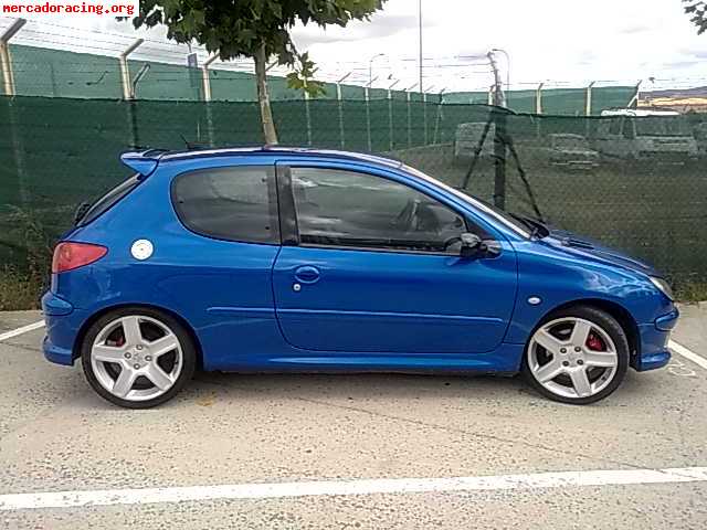 peugeot 206 rc 176 cv20 16v serie limitada muy cuidado con todos los 