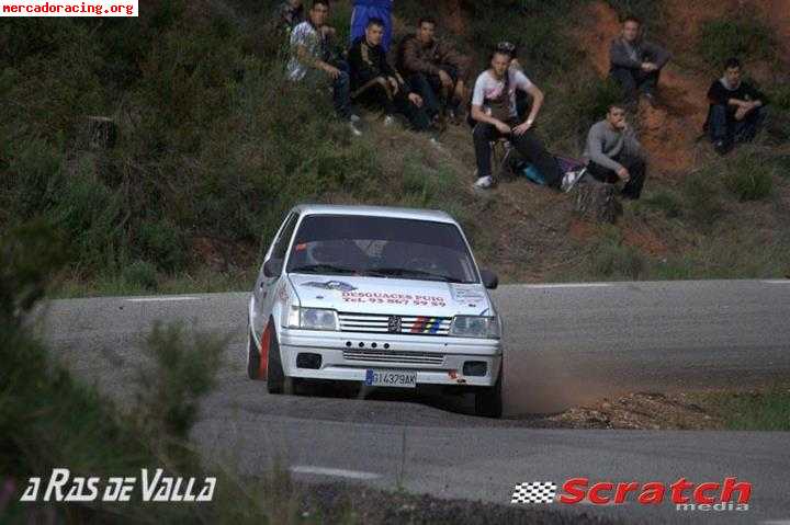Peugeot 205 Rallye Gr A F2000