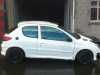 se-vende-o-cambia-206-del-trofeo-autonalon-con-algunas-mejoras-precio-economico.jpg