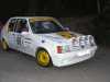 peugeot-205-rallye-grn.jpg