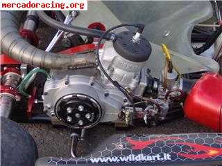 kart 125 6 velocidades