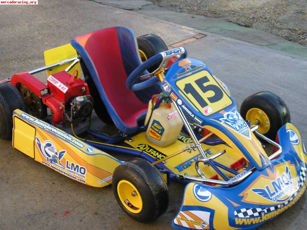 vendo kart cadete (niñ) top kart estado impecable usado sol