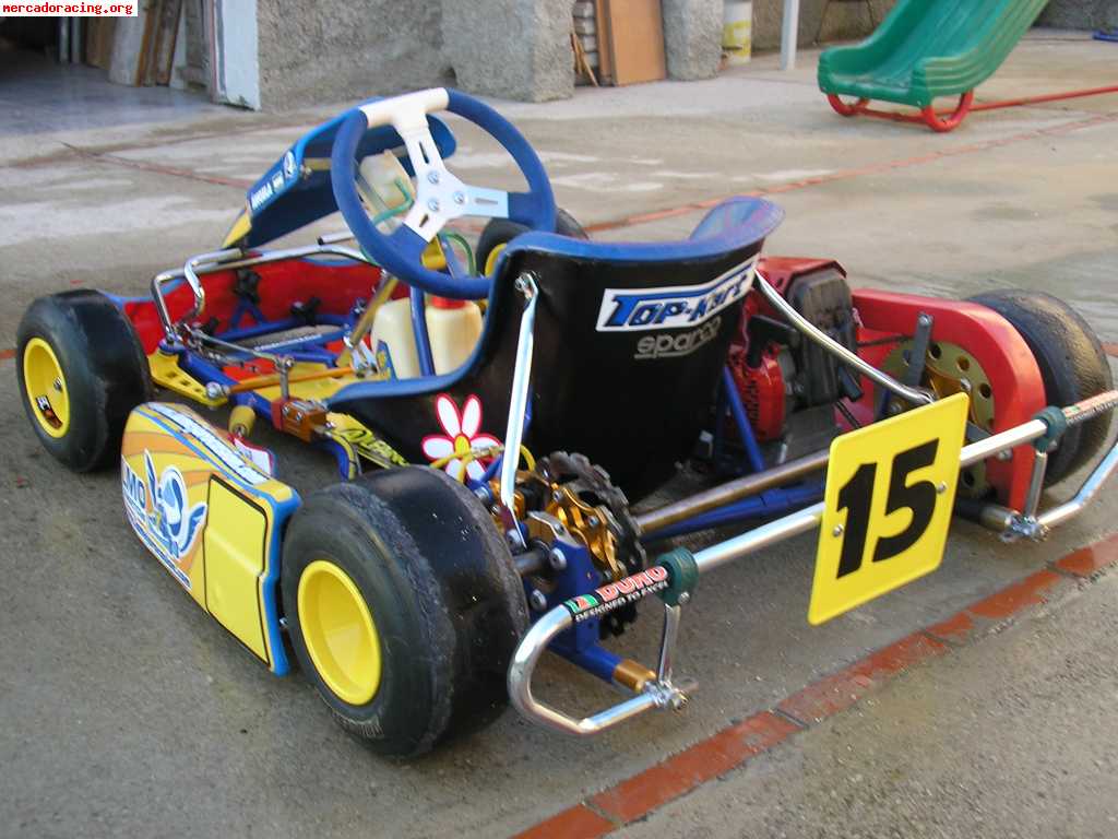 vendo kart cadete (niñ) top kart estado impecable usado sol