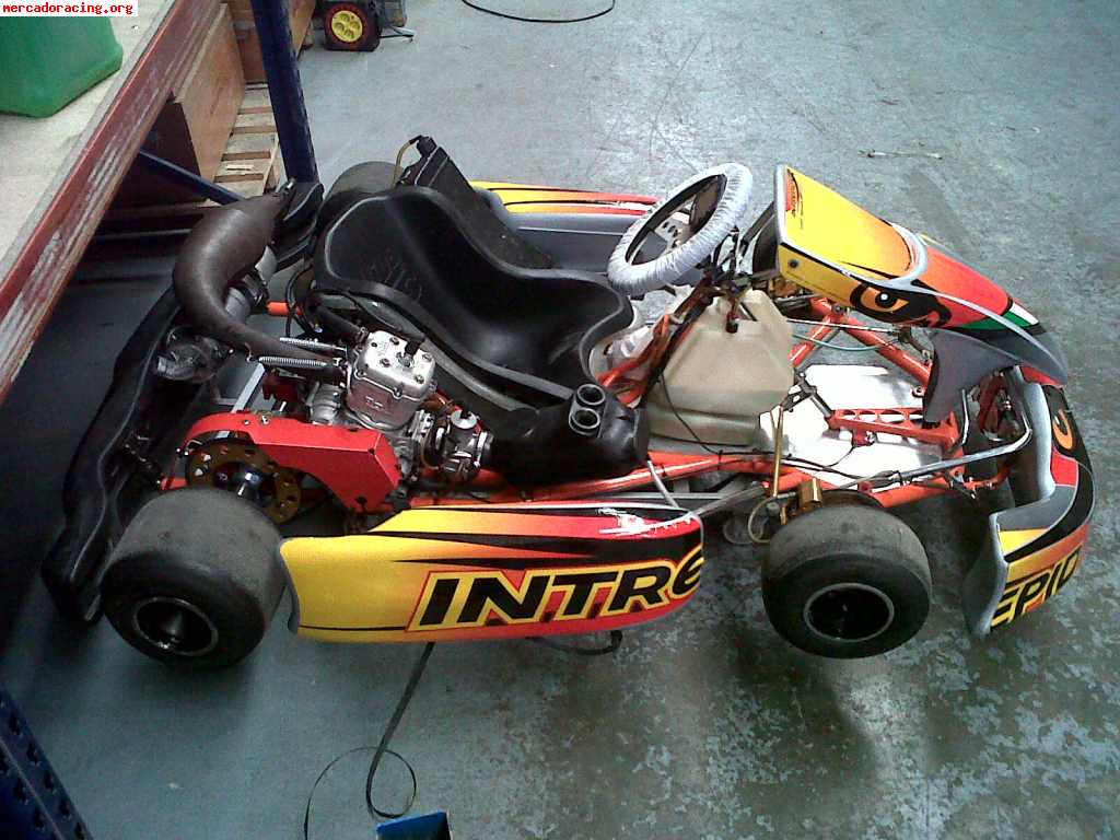 Se Vende Kart Intrepid Con Motor Vortex Rok 2100 Negociable