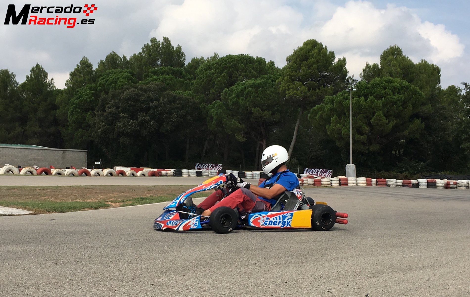 Kart Energy Corse rotax dd2 con kit EVO