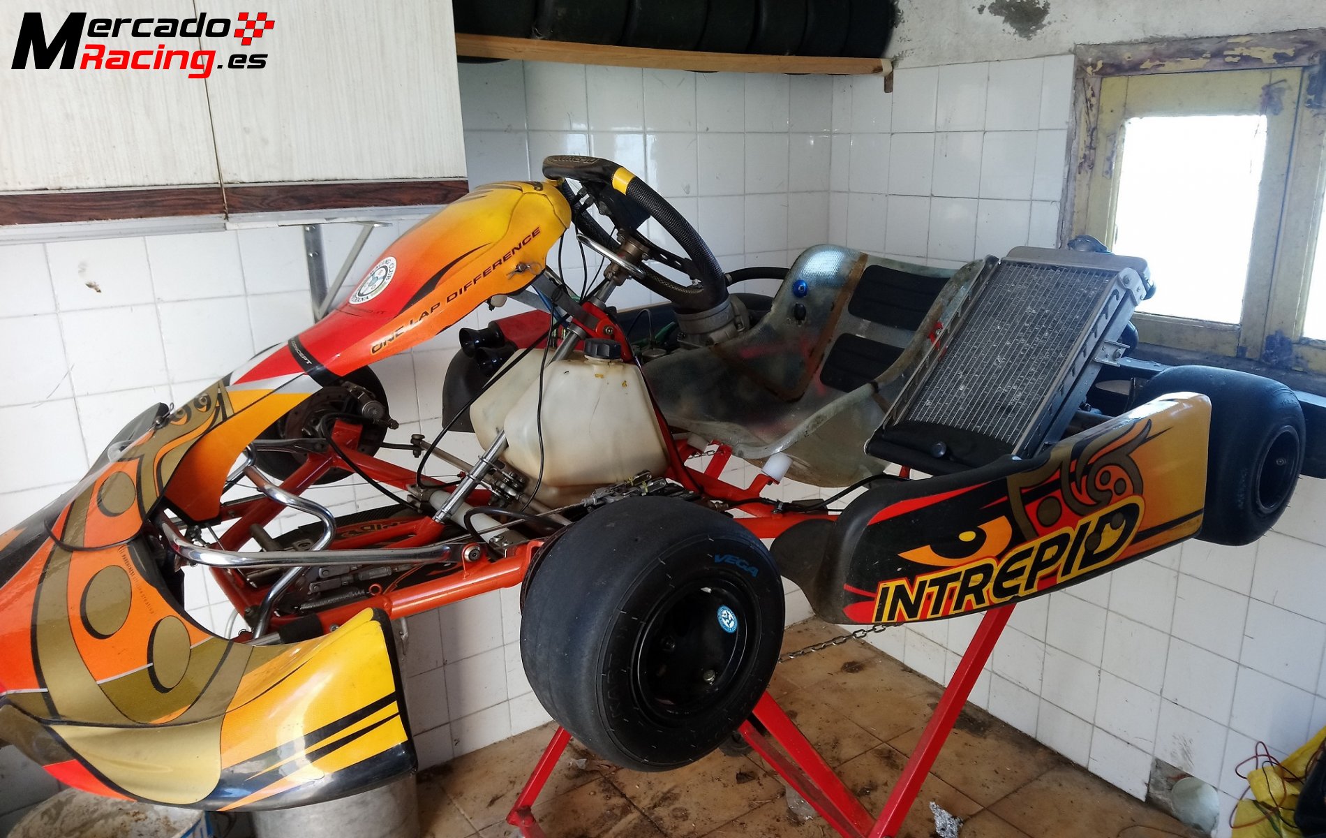 kart-kz-intrepid