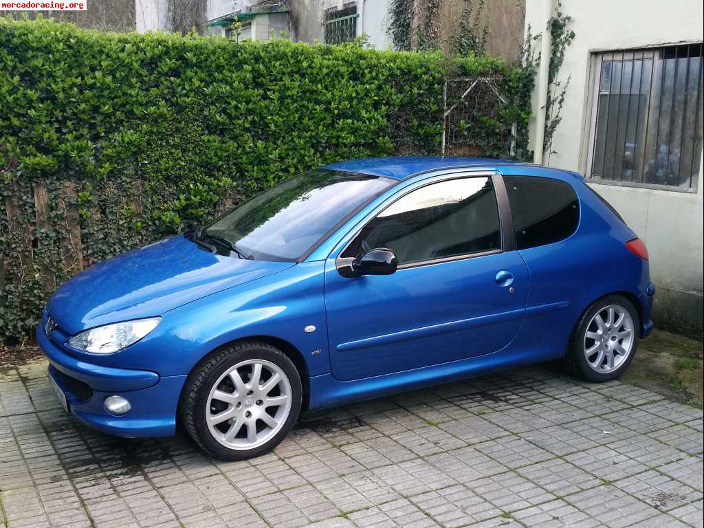 Peugeot 206 1 6 Hdi De 110 Cv