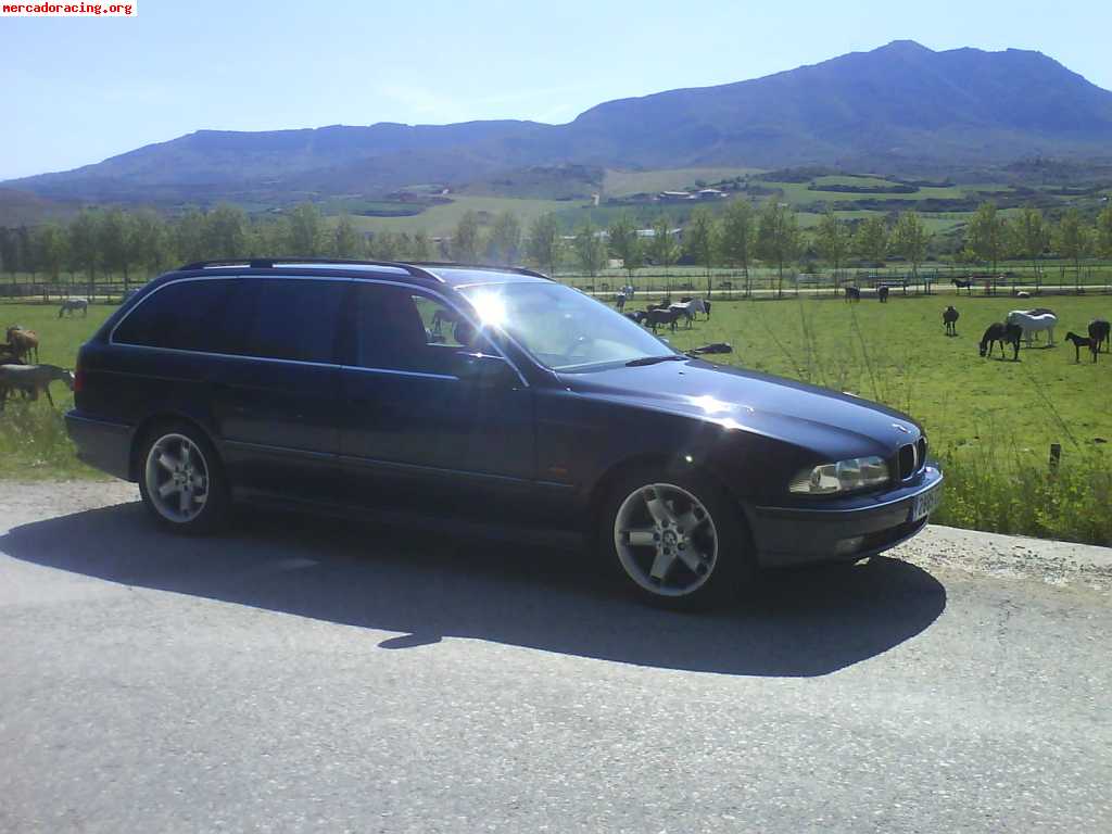 Bmw rallie 2009