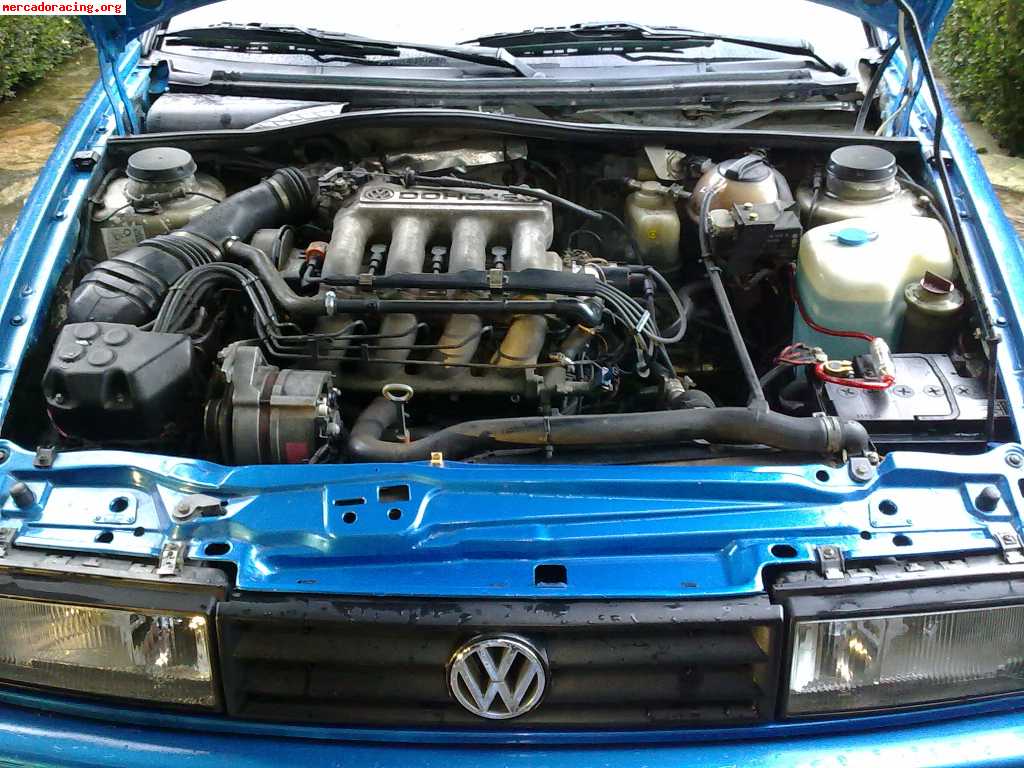 Jaybird: Old Timer: Posts: