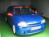 clio-sport-rallys.jpg