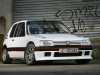 peugeot-205-gti-vs-peugeot-205-rallye.jpg