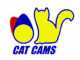 Barinaga motorsport importador Cat Cams en Espa�a