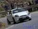 ford puma de rally