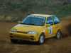 suzuki-swfit-13-16v-autocross.jpg