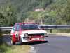 ford-fiesta-grupo-2.jpg