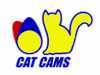 catcams-ejes-de-levas-muelles-copelas-taques-etc.jpg