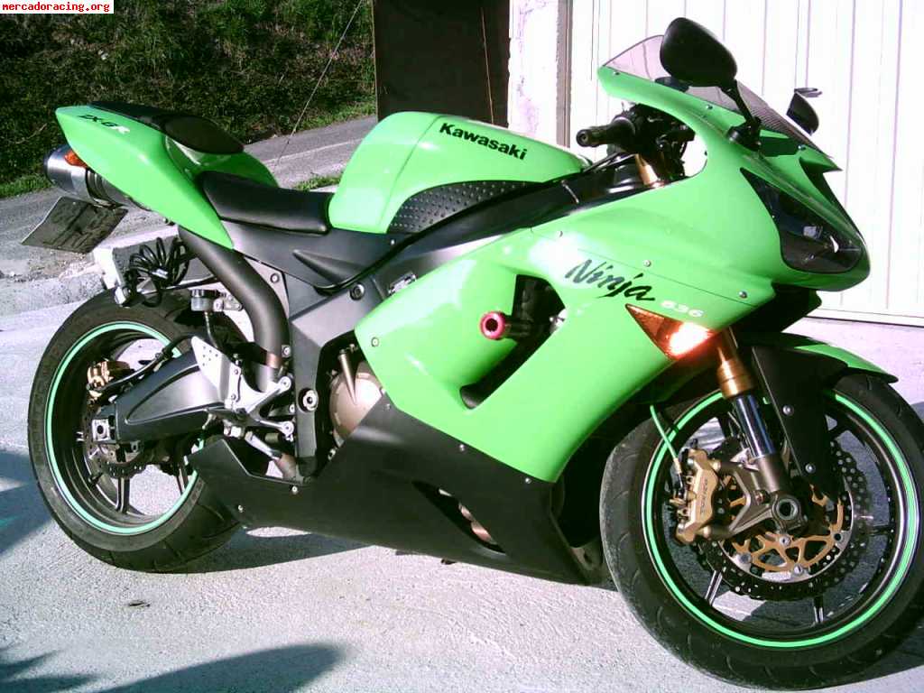2004 zx6rr