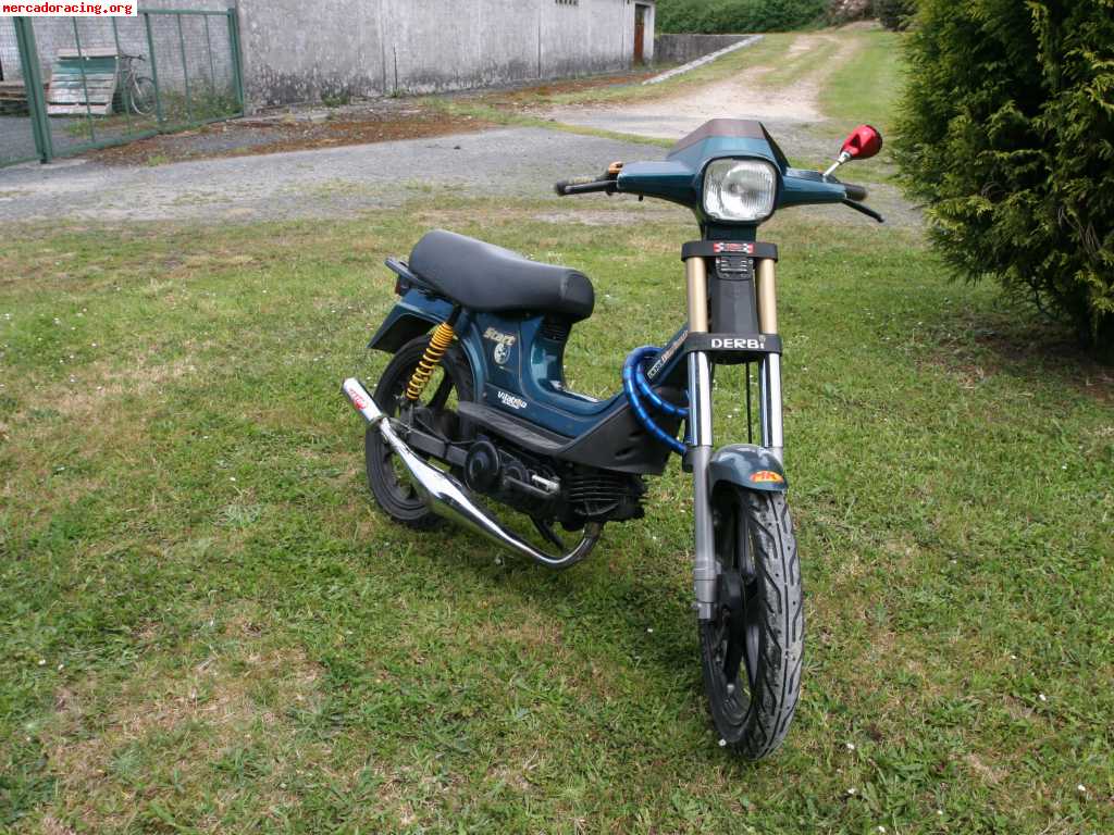 derbi variant