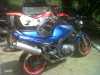 suzuki-gs500r.jpg