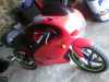 aprilia-rs-50.jpg