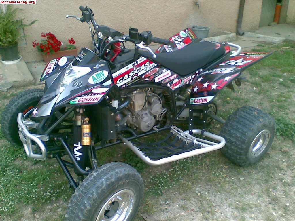 Vendo Gas Gas Wild 450