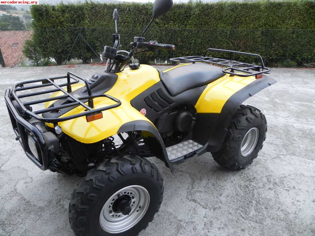 QUAD LINHAI 260