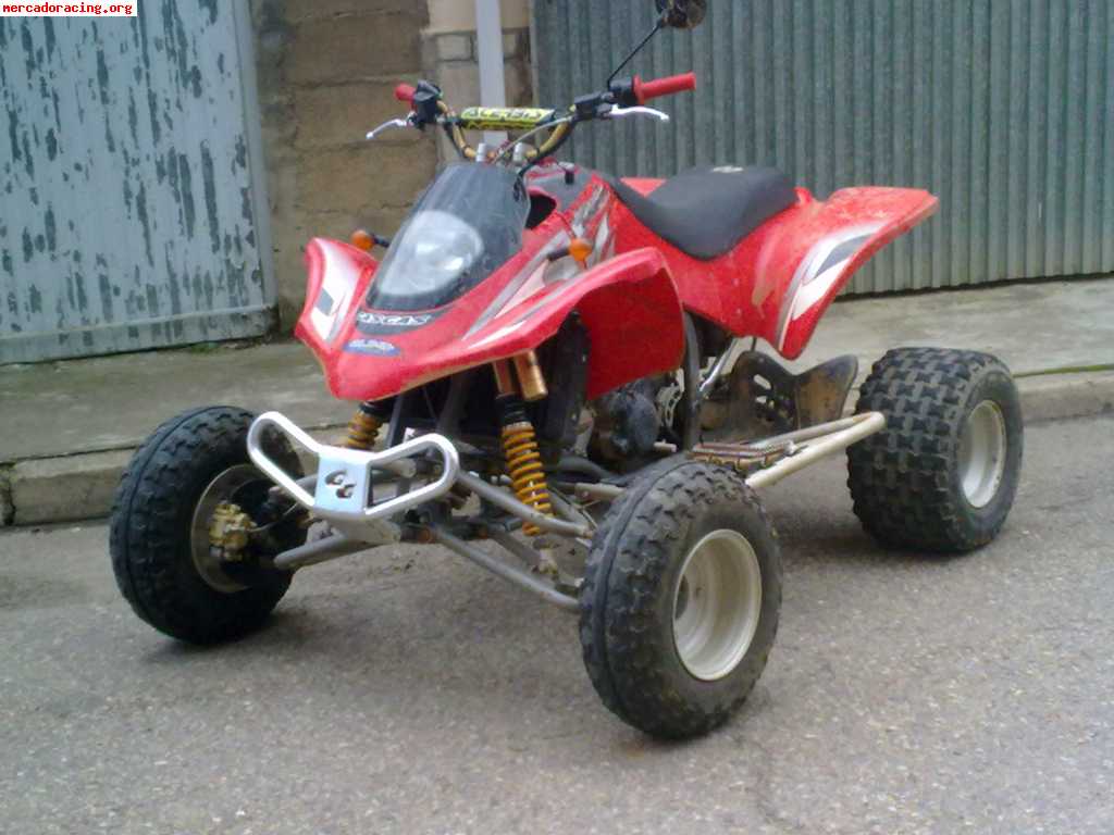 GasGas Wild HP 300 Rv