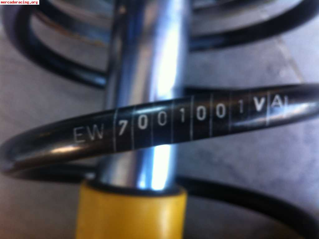 Bilstein Grupo N Eibach Peugeot 205 Gti