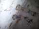 suspensiones delanteras. 106 saxo o ax