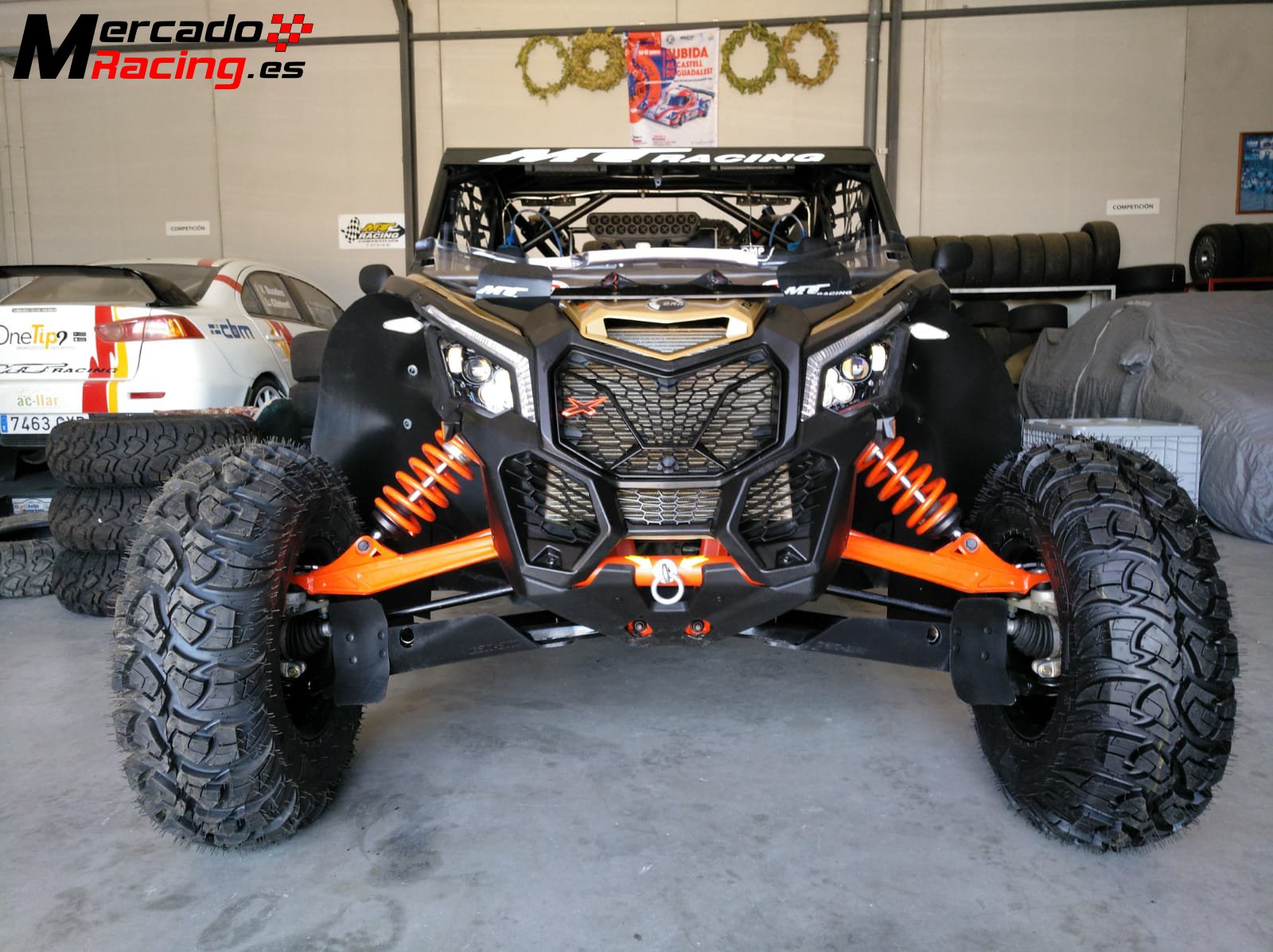 Двигатель maverick x3