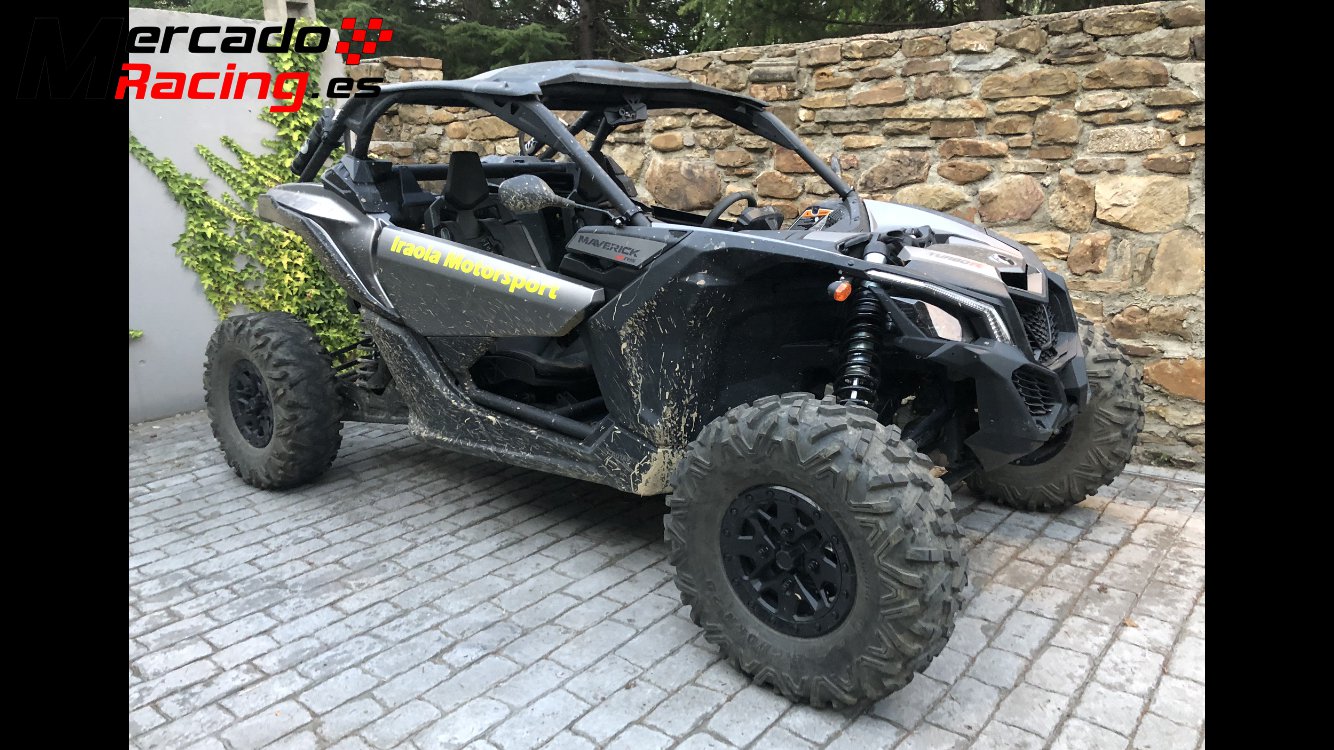 Двигатель maverick x3