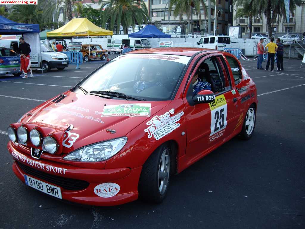 P1110 peugeot 206