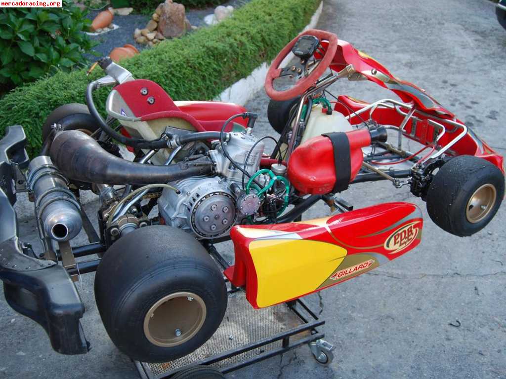 SE VENDE O CAMBIA POR COCHE KART 125 MARCHAS GUILLAR-PDB