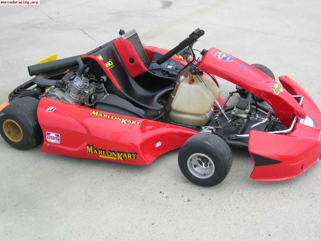 Rotax Kart Dd2 Kaufen : Rotax DD2 Kart 73931 – PMCWF