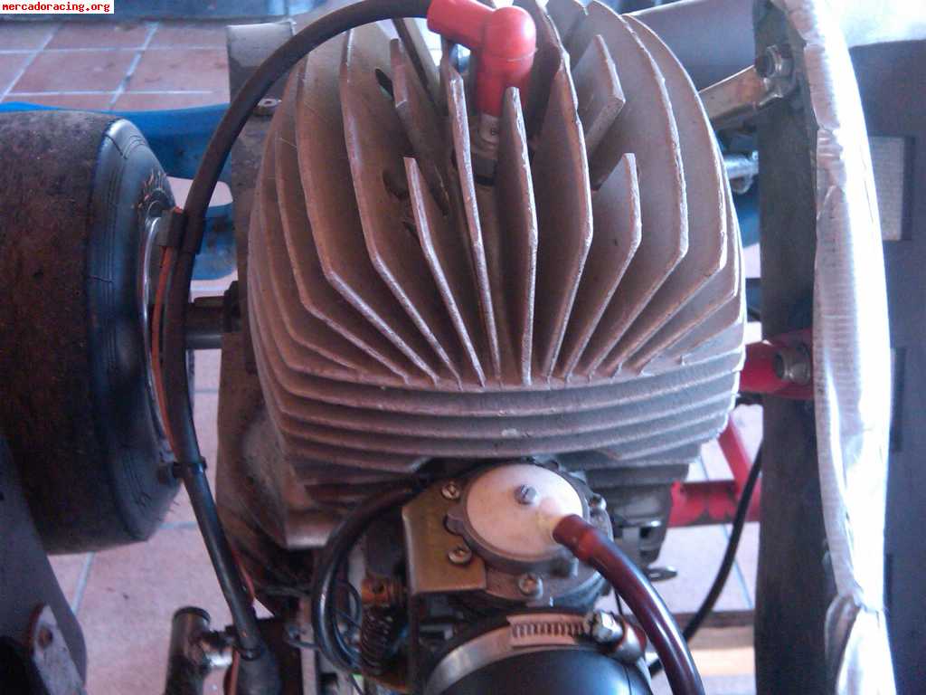 Двигатель parilla 60cc