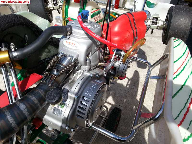 tony-kart-kz2-motor-tm-kz-10b