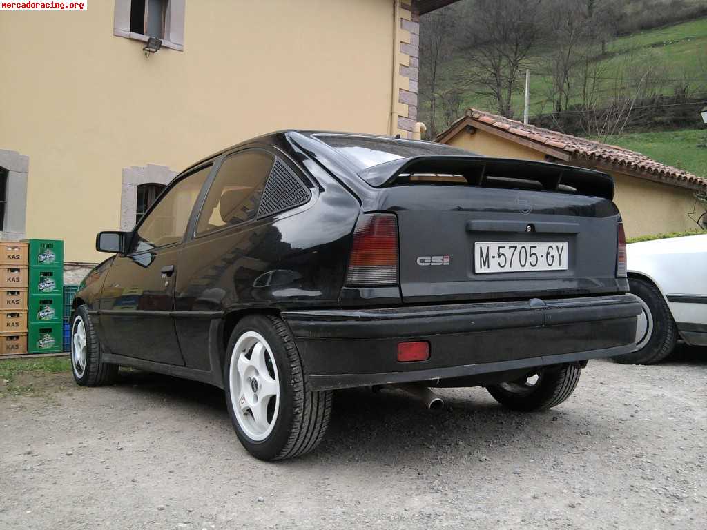 Gsi 0 гранта