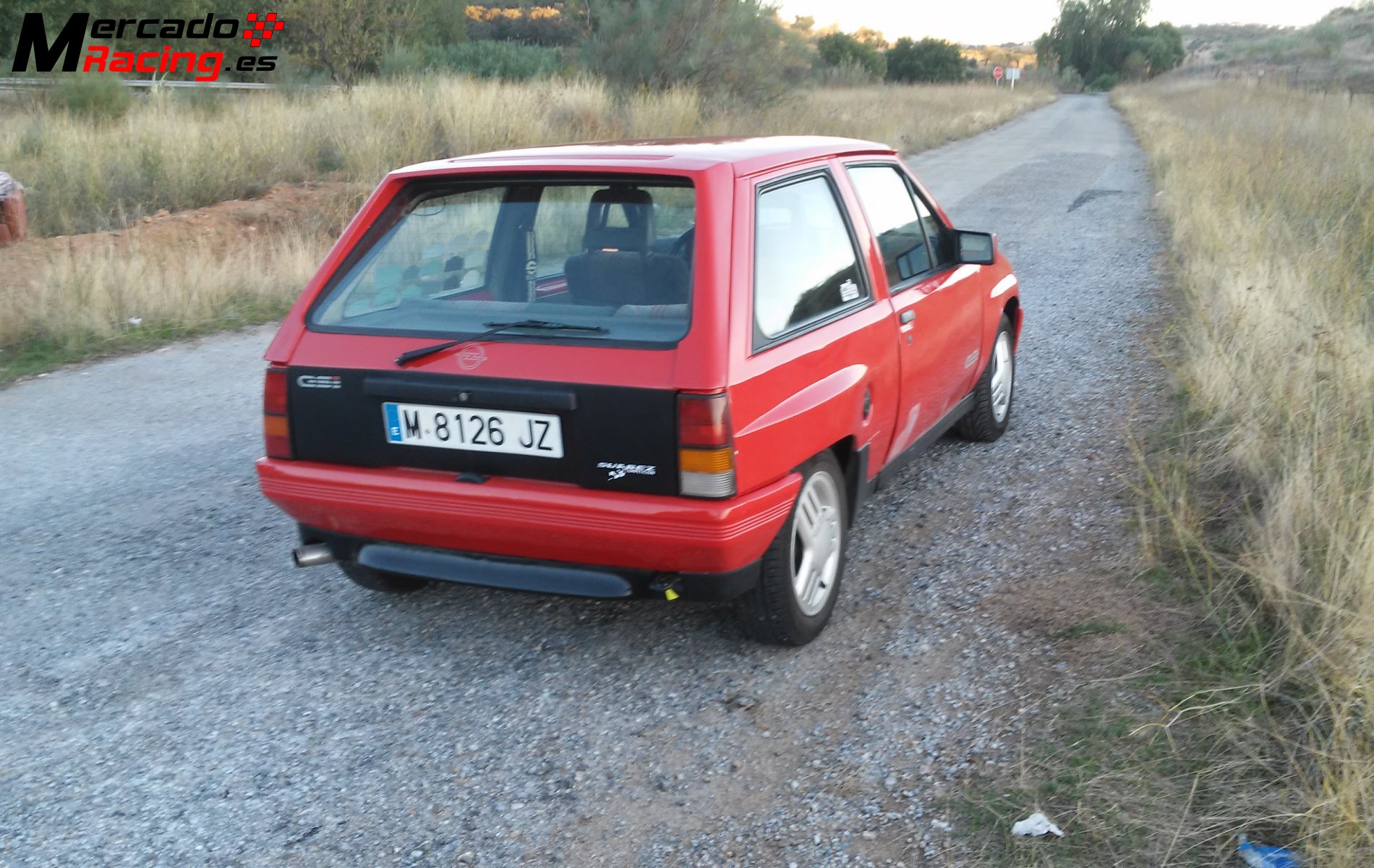 Gsi 0 гранта