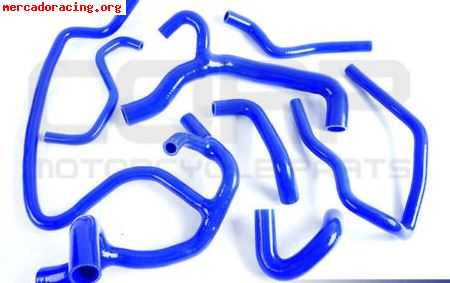 Pinzas brembo 6 pistones Pinzas brembo 6 pistones