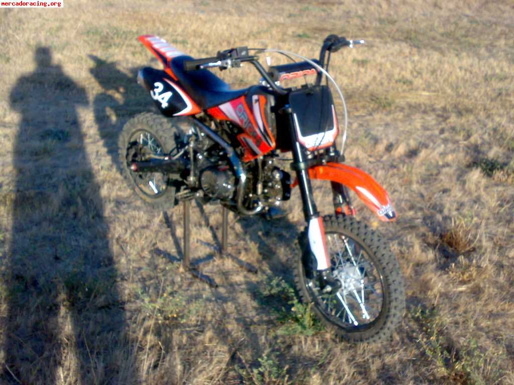 orion 125cc pit bike