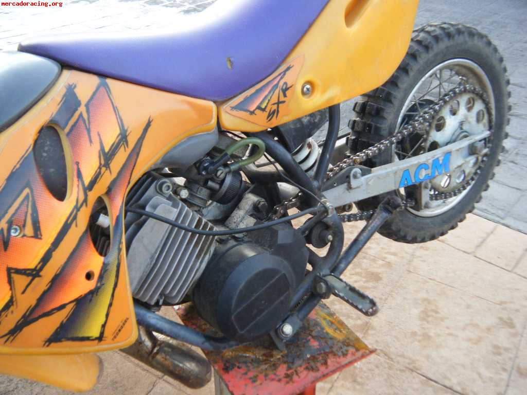 lem motor 50cc dirt bike