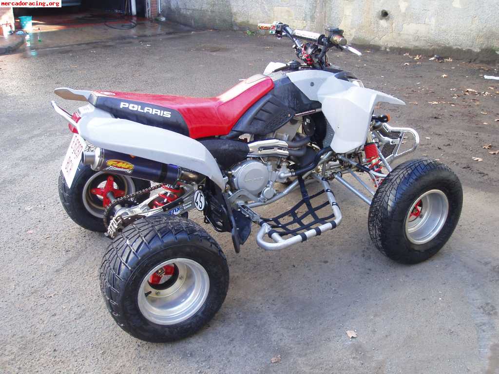 Quad polaris predator 500