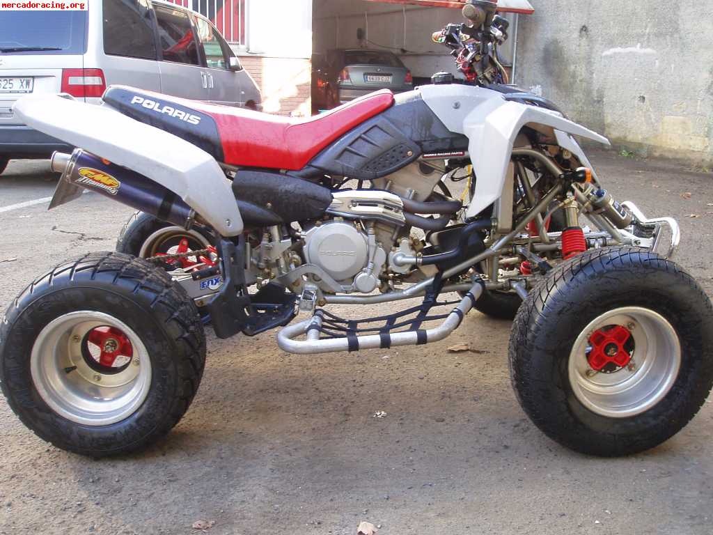 Quad polaris predator 500