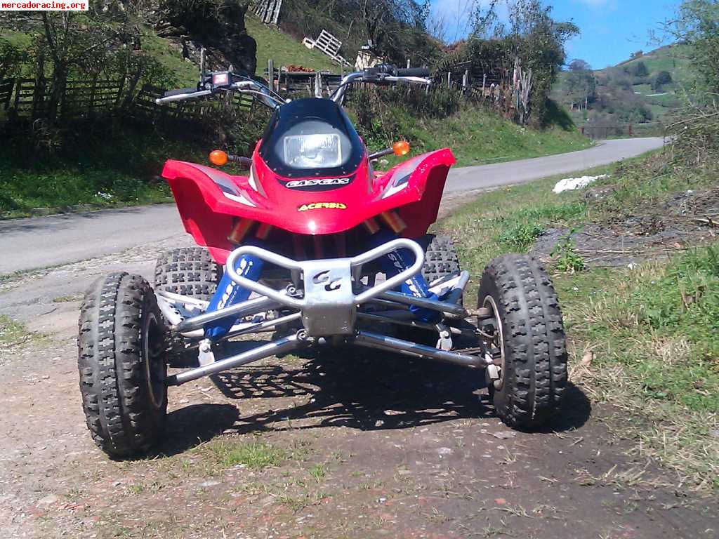 gas gas hp wild reverse 300 2t.