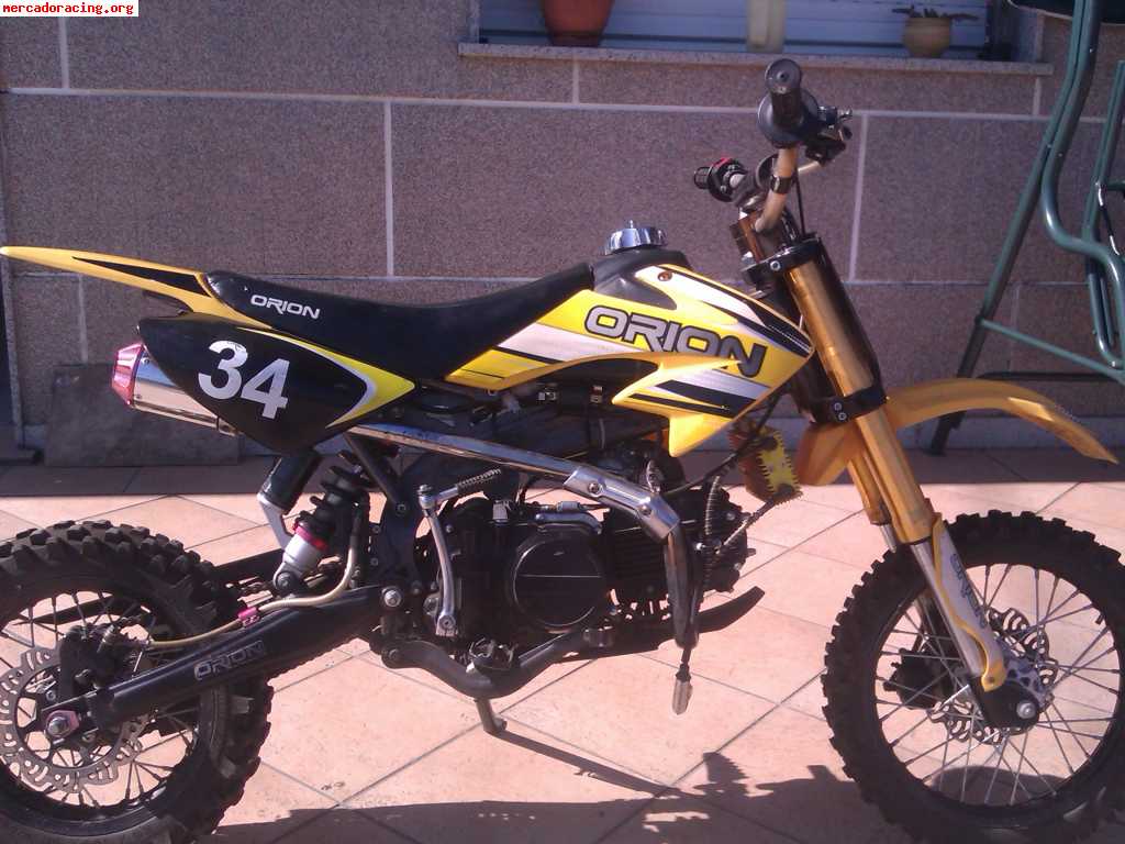 orion 110 pit bike