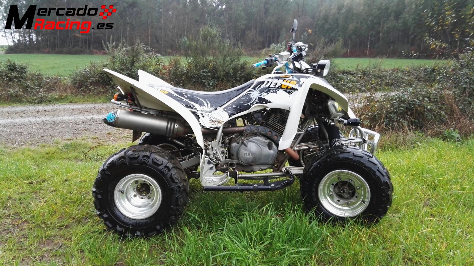 YAMAHA YFM RAPTOR 350