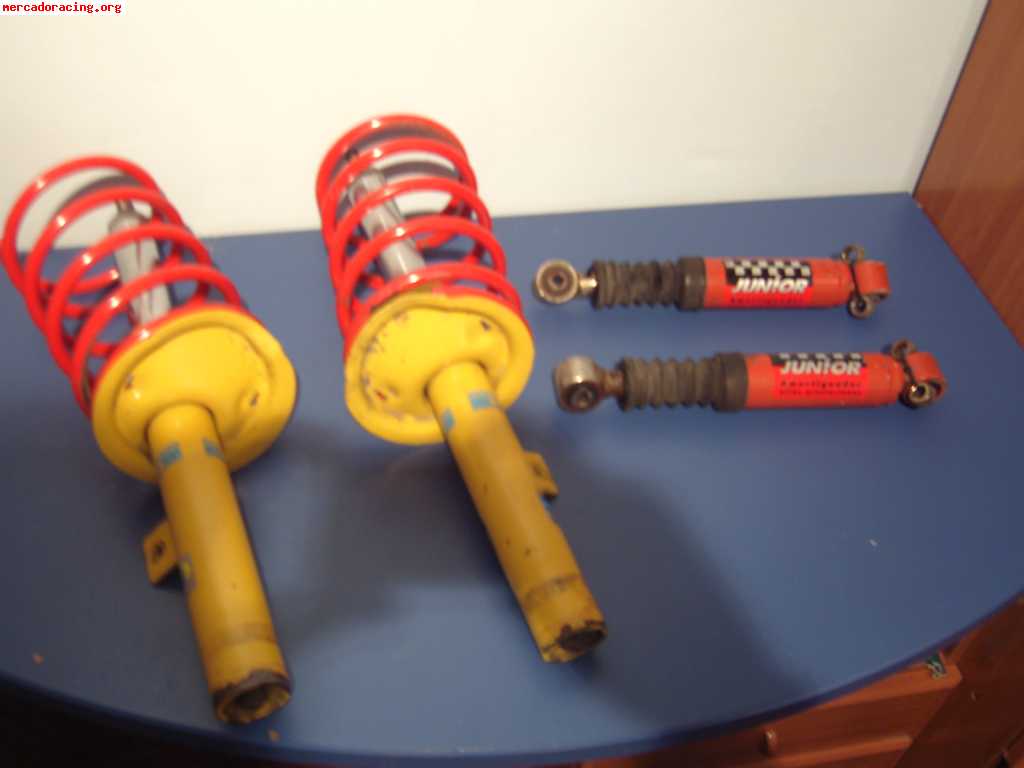 SUSPENSION BILSTEIN SPORT PEUGEOT 206 170 EUROS