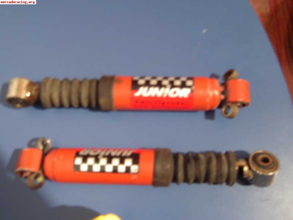 SUSPENSION BILSTEIN SPORT PEUGEOT 206 170 EUROS