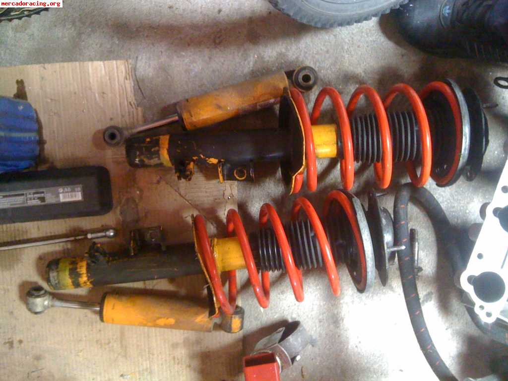 suspension koni y muelles cobra (5) de 205